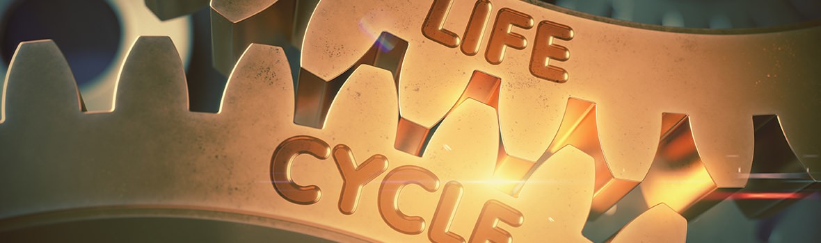 life-cycle